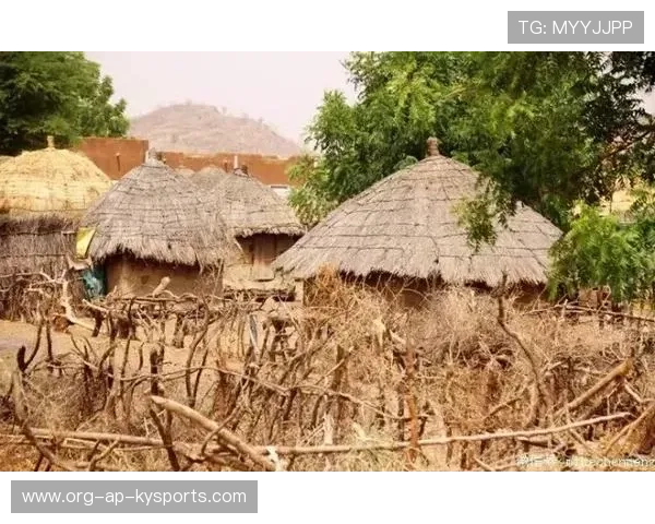 冰封草场？不！塞内加尔带来“非洲热风”
